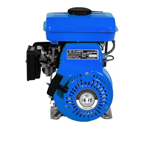 Moteur à essence 4 temps 2,5 hp 100cc pour pompe à eau, livraison gratuite, nouveau produit