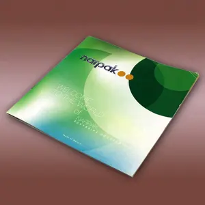 Servizio di stampa Offset personalizzato A5 A4 A3 formato fisarmonica laminato catalogo pieghevole Brochure stampa Offset