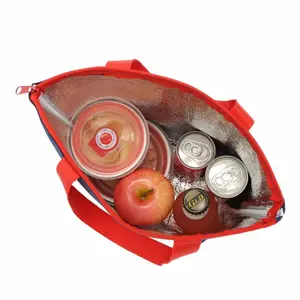 Cooler Lunch Bag Reusable Cooler Lunch Bag Insulated