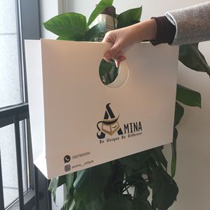 New Style Hot Sales High Quality Customized logo Printing Paper <strong>Bag</strong> with Hole Handles
