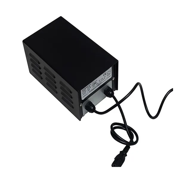 Factory Wholesale Switchable cwa 1000w Magnetic Ballast