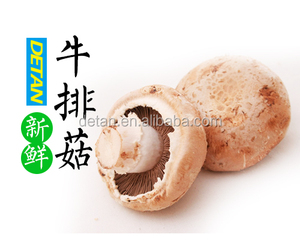 Свежий гриб Detan портобелла (Лидер продаж) - Product Image 2