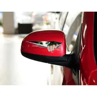 Rechercher les fabricants des Side Mirror Stickers For Cars produits de  qualité supérieure Side Mirror Stickers For Cars sur Alibaba.com