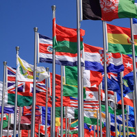 Service d'impression personnalisé, drapeaux National Pongee