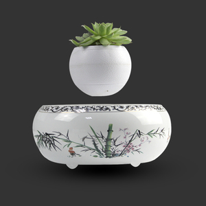 Establecer su envío en medio del aire de aire mágico <span class=keywords><strong>bonsai</strong></span> plantas ornamentales - Product Image 5