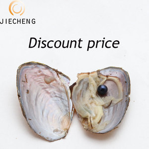 ไข่มุกน้ำจืดธรรมชาติแบบเพาะเลี้ยง ราคาพิเศษ ขายส่งจำนวนมาก ของขวัญสุดพิเศษ - Product Image 3