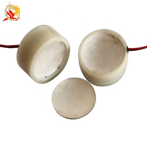 Piezo Ceramic Transudcer Focus Ultrasonic Transducer