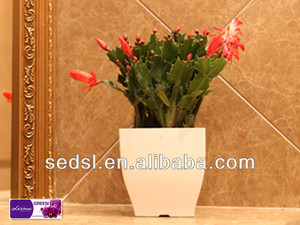 <span class=keywords><strong>lechuza</strong></span> rond en céramique jardinière plastique - Product Image 4