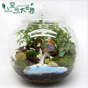 Penjualan Langsung Pabrik Kaca Borosilikat Ditiup Tanaman Terarium 15Cm * 15Cm 20Cm * 20Cm