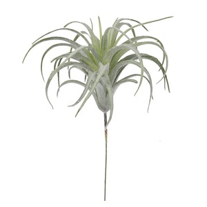 S-3293 Succulentes artificielles pas chères directement de l'usine, plantes artificielles sans pot, tiges de <span class=keywords><strong>Tillandsia</strong></span> pour arrangements floraux - Product Image 1