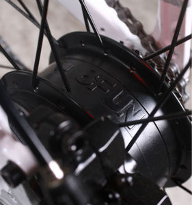 European Standard electric mountain bike/<span class=keywords><strong>mtb</strong></span>, suitable for outdoor sports or tourism, 2013 New <span class=keywords><strong>mtb</strong></span> - Product Image 5