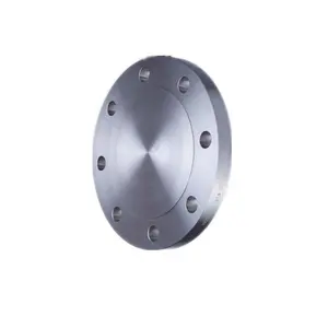 150LB 300LB 600LB ANSI Standard Raised Face Flat Face Blind Flange