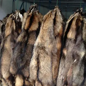 China fábrica de preço barato Raw Raccoon gola de Pele De Guaxinim Peles para Vestuário e