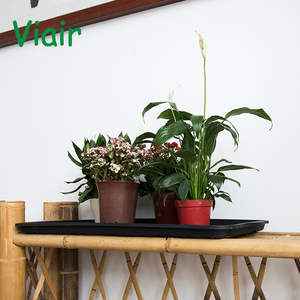 Arranque y bandeja para el hogar y cocina, mascotas y jardinería mejor para todo de <span class=keywords><strong>entrada</strong></span> ordenada - Product Image 1