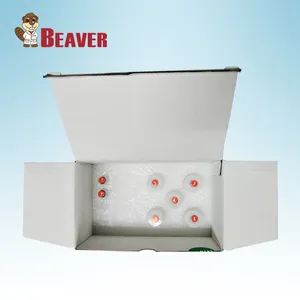 2018 beaverbeads nucleic axit DNA máu khai thác Kit kiểm tra 10/100 Bộ dụng cụ Thuốc thử