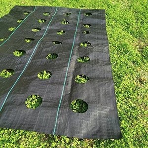 Alfombra de Control de malas hierbas para invernadero, cubierta de suelo de tela de malla, plástico negro agrícola, cubierta de tierra, PP