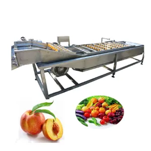 Industrial vegetable and fruit processing line/ belt washing drying processing equipment