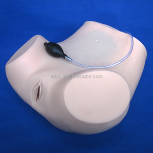 Basic Gynaecologische Onderzoek Model, Bekken Training Model - Product Image 3