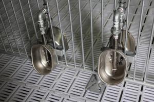 <span class=keywords><strong>Abreuvoir</strong></span> en acier inoxydable pour cochons elliptiques - Product Image 4