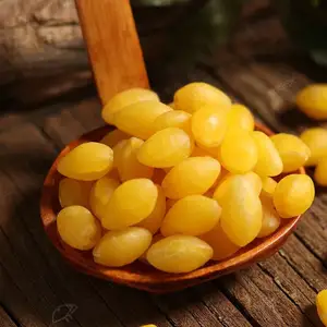 Sampel Gratis Kacang Forte Ginkgo