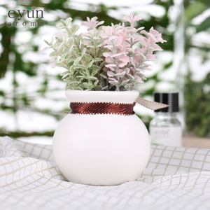 EYUN E01 Wadah Botol Kaca Penyebar Bunga Buluh Dekoratif