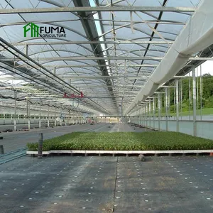 A basso costo agricolo aquaponics sistemi di coltivazione lato della finestra roll up motore opener pellicola a effetto serra per la vendita