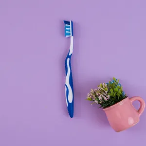 فرشاة أسنان بلاستيكية مخصصة للبالغين تُباع بالجملة من المصنع في الصين