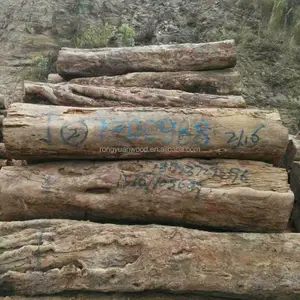 A grade mussivi square logs and furniture timbers from Angola