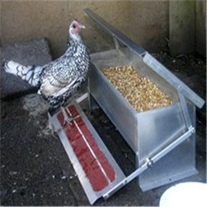 Fornitore della cina che produce alimentatore automatico a pedale di pollo - Product Image 2