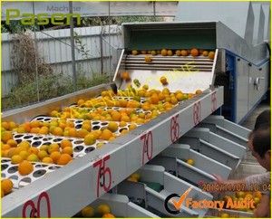 Frutas y verduras Grading Machine a ordenar la manzana, naranja, tomate cherry, cebolla, ajo por tamaño - Product Image 4