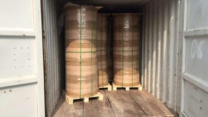 ถุงกระดาษเคลือบกันน้ำสำหรับปลูกผลไม้มะม่วงแบบพิเศษ 2 ชั้น - Product Image 4