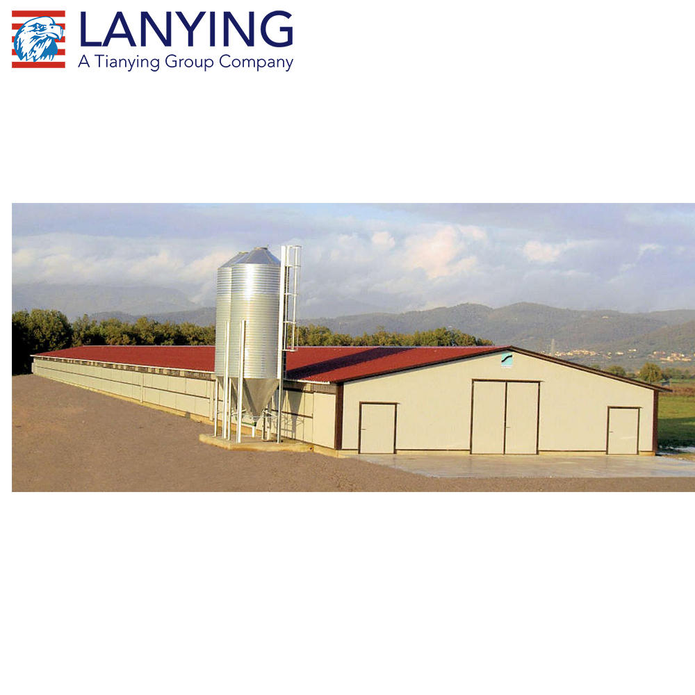 Conception Moderne De Poulet Ferme, poulets de chair Ferme Conception, pays L'élevage De Poulets
