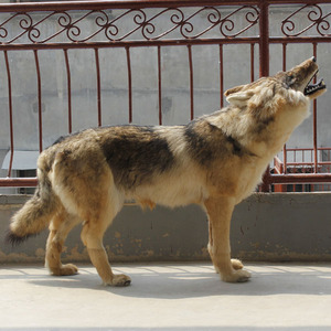 Sống Động Như Thật Động Vật Mô Phỏng Thú Nhồi Bông Sang Trọng Lớn Hoang Dã Wolf - Product Image 3