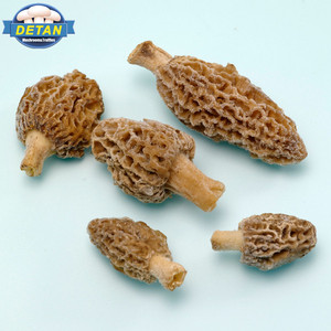 Ecodéan — champignons momoda, 1 pièce, vente en gros, pendants chinois - Product Image 2