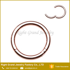 Senza soluzione di continuità Segmento Clicker Incernierato Anello Del Cerchio Dell'orecchio del Labbro Setto Piercing - Product Image 3