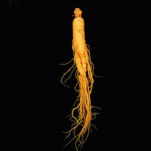 Changbai dağlık Ginseng - Product Image 2