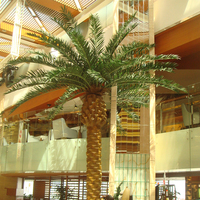 Piscine de jardin en plastique à 10 cm, paysage nouveaux arbres, plastique Anti-âge, palmier Date, vente en gros