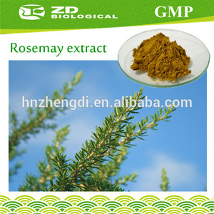 hojas secas de romero extracto de ácido rosmarínico en extracto de hierbas - Product Image 1