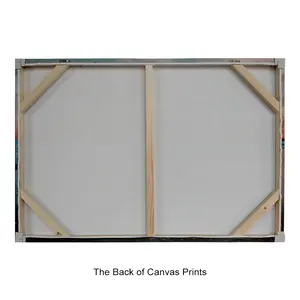 Custom Made Allungato Dipinti Moderni di Arte Della Parete Picture <span class=keywords><strong>Stampa</strong></span> - Product Image 4