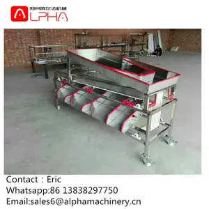 Apple/Blueberry/cherry sorting machine