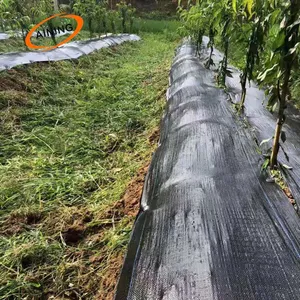 Gewebter Landschafts stoff, Unkraut bekämpfung stuch Bodendecker stoff