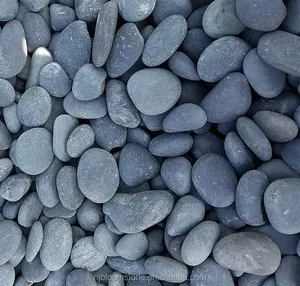 Piedra de guijarros de Río redondo de playa mexicana negra