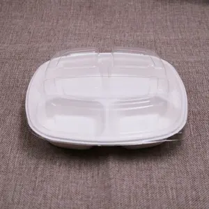 eco friendly bio degradable use and throw fast lunch plates with lid