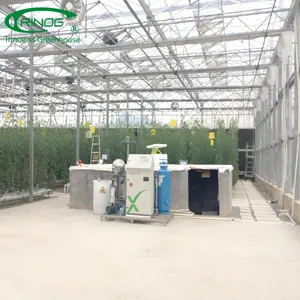 Multi-span dutch venlo vidro greenhouse tomate greenhouse e morango greenhouse turnkey projeto