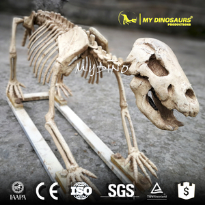 <span class=keywords><strong>My</strong></span> Dino AS010 — squelette, Animal artificiel, hippopotame, grande taille - Product Image 6