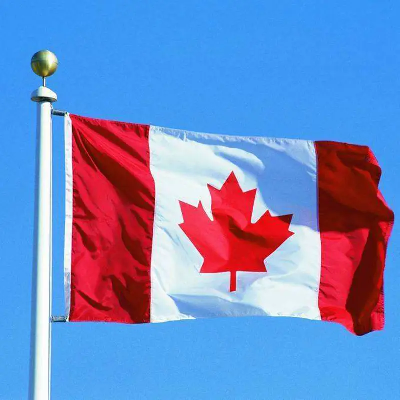 2019 New Canadian Flag Big Appeso Canada Paese Grande Bandiera Canada Banner Per Il Festival bandiera Nazionale