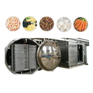 Industrial Vacuum Freeze Drying Equipment Freeze Dried Fish Food Machine