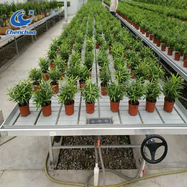 Hydroponic Growing Table Ebb And Flow Tables Growing Greenhouse Benches Hydroponic Flood Tray