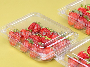 Màng Nhựa PS Tạo Nhiệt Dẻo Tốt Hơn - Product Image 2