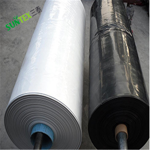 <span class=keywords><strong>Film</strong></span> Plastico per Serre in LDPE <span class=keywords><strong>Bianco</strong></span> <span class=keywords><strong>e</strong></span> <span class=keywords><strong>Nero</strong></span>, Copertura per Serre in Polietilene Resistente ai Raggi UV, Pellicola Panda da 150 Micron, Dimensioni Personalizzabili - Product Image 5